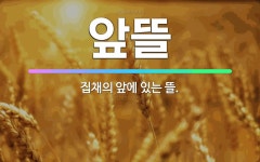 🌟앞뜰: 집채의 앞에 있는 뜰. - 표준국어대사전