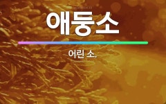 🌟애둥소: 어린 소. - 표준국어대사전