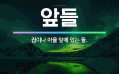 🌟앞들: 집이나 마을 앞에 있는 들. - 표준국어대사전