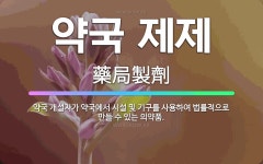 🌟약국 제제: 약국 개설자가 약국에서 시설 및 기구를 사용하여 법률적으로 만들 수 있는 의약품. - 표준국어대사전