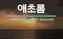 🌟애초롬: ‘애초롬하다’의 어근. (애초롬하다: 웅숭깊게 새뜻한 맛이 있다.) - 표준국어대사전