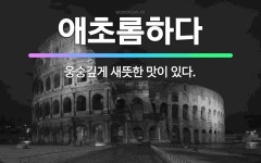 🌟애초롬하다: 웅숭깊게 새뜻한 맛이 있다. - 표준국어대사전