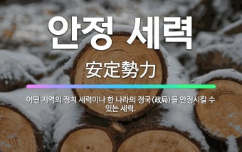 안정 세력: 어떤 지역의 정치 세력이나 한 나라의 정국(政局)을 안정시킬 수 있는 세력. - 표준국어대사전