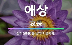 🌟애상: 상사(喪事)를 당하여 슬퍼함. - 표준국어대사전