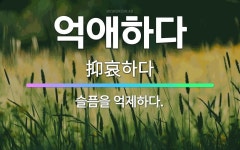 🌟억애하다: 슬픔을 억제하다. - 표준국어대사전