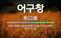 🌟어구창: 자개미 부위에 단단하게 부었다가 곪아 터져서 구멍이 생기는 부스럼. - 표준국어대사전