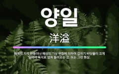 🌟양일: 해저의 지각 변동이나 해상의 기상 변화에 의하여 갑자기 바닷물이 크게 일어서 육지로 넘쳐 들어오는... - 표준국어대사전