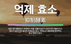 🌟억제 효소: 세포 내의 물질대사 과정에서 최종 산물의 농도가 낮아지면 만들어지고, 농도가 높아지면 생산이... - 표준국어대사전