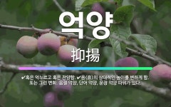 🌟억양: 혹은 억누르고 혹은 찬양함., 음(音)의 상대적인 높이를 변하게 함. 또는 그런 변화. 음절 억양... - 표준국어대사전