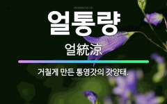 🌟얼통량: 거칠게 만든 통영갓의 갓양태. - 표준국어대사전