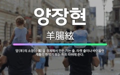 정현양장점 | 🌟양장현: 양(羊)의 소장(小腸)을 정제해서 만든 가는 줄. 라켓 줄이나 바이올린 계통의 현악기 또는 하프... - 표준국어대사전