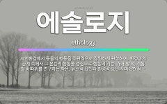 🌟에솔로지: 자연환경에서 동물의 행동을 객관적으로 정밀하게 관찰하여, 환경과의 관계 속에서 그 본능적 행동... - 표준국어대사전