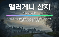 🌟앨러게니 산지: 미국 동부 애팔래치아산맥의 일부를 이루는 산지. 석탄, 석유, 천연가스 따위가 많이 있다. - 표준국어대사전