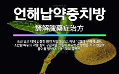 🌟언해납약증치방: 조선 영조 때에 간행한 환약 처방 해설집. 매년 12월에 우황청심환, 소합환 따위의 각종... - 표준국어대사전