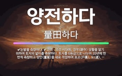 🌟양전하다: 논밭을 측량하다., 고려ㆍ조선 시대에, 경작(耕作) 상황을 알기 위하여 토지의 넓이를 측량하다... - 표준국어대사전