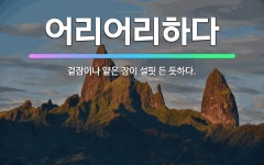 🌟어리어리하다: 겉잠이나 얕은 잠이 설핏 든 듯하다. - 표준국어대사전
