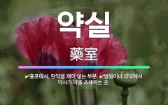 🌟약실: 병원이나 약국에서 약사가 약을 조제하는 곳., 총포에서, 탄약을 재어 넣는 부분. - 표준국어대사전