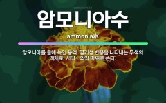암모니아수: 암모니아를 물에 녹인 용액. 염기성 반응을 나타내는 무색의 액체로, 시약ㆍ의약 따위로 쓴다. - 표준국어대사전