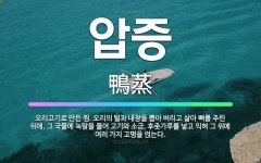 🌟압증: 오리고기로 만든 찜. 오리의 털과 내장을 뽑아 버리고 삶아 뼈를 추린 뒤에, 그 국물에 녹말을 풀... - 표준국어대사전