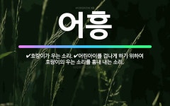 🌟어흥: 호랑이가 우는 소리., 어린아이를 겁나게 하기 위하여 호랑이의 우는 소리를 흉내 내는 소리. - 표준국어대사전