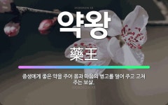 🌟약왕: 중생에게 좋은 약을 주어 몸과 마음의 병고를 덜어 주고 고쳐 주는 보살. - 표준국어대사전