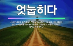🌟엇눕히다: 서로 섞이어 눕게 하다. ‘엇눕다’의 사동사. (엇눕다: 서로 섞이어 눕다.), 물체를 가로놓... - 표준국어대사전