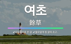 🌟여초: 쓸모없게 된 글의 초고., 심심풀이로 쓴 글. - 표준국어대사전
