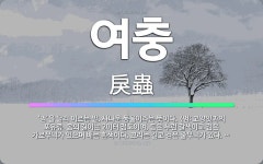 🌟여충: ‘범’을 달리 이르는 말. 사나운 동물이라는 뜻이다. (범: 고양잇과의 포유류. 몸의 길이는 2미... - 표준국어대사전