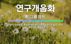 🌟연구개음화: 자음이 조음될 때, 후설면(後舌面)이 연구개 쪽으로 올라가면서 발음되는 현상. - 표준국어대사전