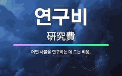 인피니소프트_연구비3비 | 🌟연구비: 어떤 사물을 연구하는 데 드는 비용. - 표준국어대사전