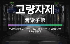🌟고량자제: 부귀한 집에서 고량진미만 먹고 귀엽게 자라나서 고생을 전혀 모르는 젊은이. - 표준국어대사전