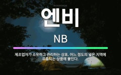 🌟엔비: 제조업자가 소유하고 관리하는 상표. 어느 정도의 넓은 지역에 유통되는 상품에 붙인다. - 표준국어대사전