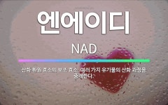 🌟엔에이디: 산화 환원 효소의 보조 효소. 여러 가지 유기물의 산화 과정을 중개한다. - 표준국어대사전