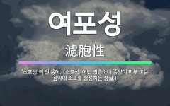🌟여포성: ‘소포성’의 전 용어. (소포성: 어떤 염증이나 종양이 피부 또는 점막에 소포를 형성하는 성질.) - 표준국어대사전