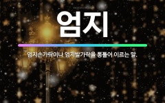 🌟엄지: 엄지손가락이나 엄지발가락을 통틀어 이르는 말. - 표준국어대사전