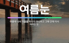 🌟여름눈: 여름에 나서 겨울을 지나지 아니하고 그해 안에 터서 자라는 눈. - 표준국어대사전