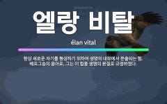🌟엘랑 비탈: 항상 새로운 자기를 형성하기 위하여 생명의 내부에서 분출되는 힘. 베르그송의 용어로, 그는 ... - 표준국어대사전