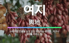 🌟여지: 수레처럼 만물을 싣고 있는 땅이라는 뜻으로, 지구나 대지를 이르는 말. - 표준국어대사전
