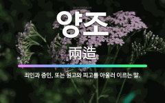 🌟양조: 죄인과 증인, 또는 원고와 피고를 아울러 이르는 말. - 표준국어대사전