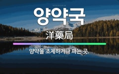 🌟양약국: 양약을 조제하거나 파는 곳. - 표준국어대사전