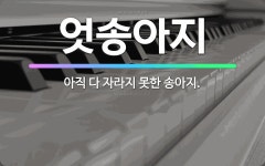 🌟엇송아지: 아직 다 자라지 못한 송아지. - 표준국어대사전