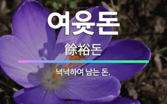 🌟여윳돈: 넉넉하여 남는 돈. - 표준국어대사전