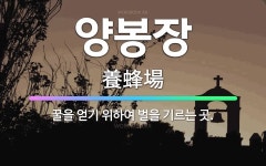 🌟양봉장: 꿀을 얻기 위하여 벌을 기르는 곳. - 표준국어대사전