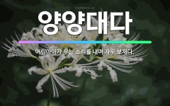 🌟양양대다: 어린아이가 우는 소리를 내며 자꾸 보채다. - 표준국어대사전