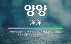 🌟양양: ‘양양하다’의 어근. (양양하다: 바다가 한없이 넓다., 사람의 앞날이 한없이 넓어 발전의 여지가... - 표준국어대사전