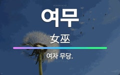 🌟여무: 여자 무당. - 표준국어대사전
