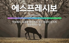 🌟에스프레시보: 악보에서, 표정을 풍부하게 또는 정감이 넘치게 연주하라는 말. - 표준국어대사전