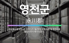 🌟영천군: 경상북도에 있던 군. 1995년 1월 행정 구역 개편 때 영천시로 통합되면서 폐지되었다. - 표준국어대사전