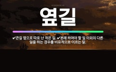 🌟옆길: 큰길 옆으로 따로 난 작은 길., 본래 하여야 할 일 이외의 다른 일을 하는 경우를 비유적으로 이... - 표준국어대사전