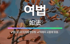 🌟여법: 여래의 교훈에 맞음., 법(法)과 이치에 합당함. - 표준국어대사전